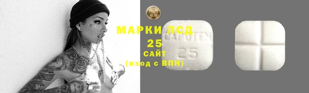 Альфа ПВП Белокуриха
