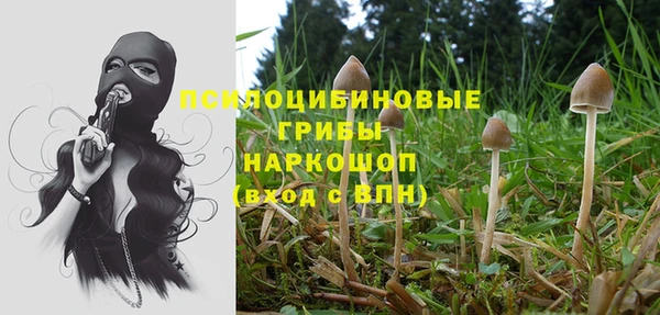 таблы Белоозёрский