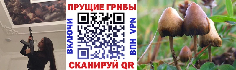 сколько стоит  Верхняя Пышма  Галлюциногенные грибы мухоморы 