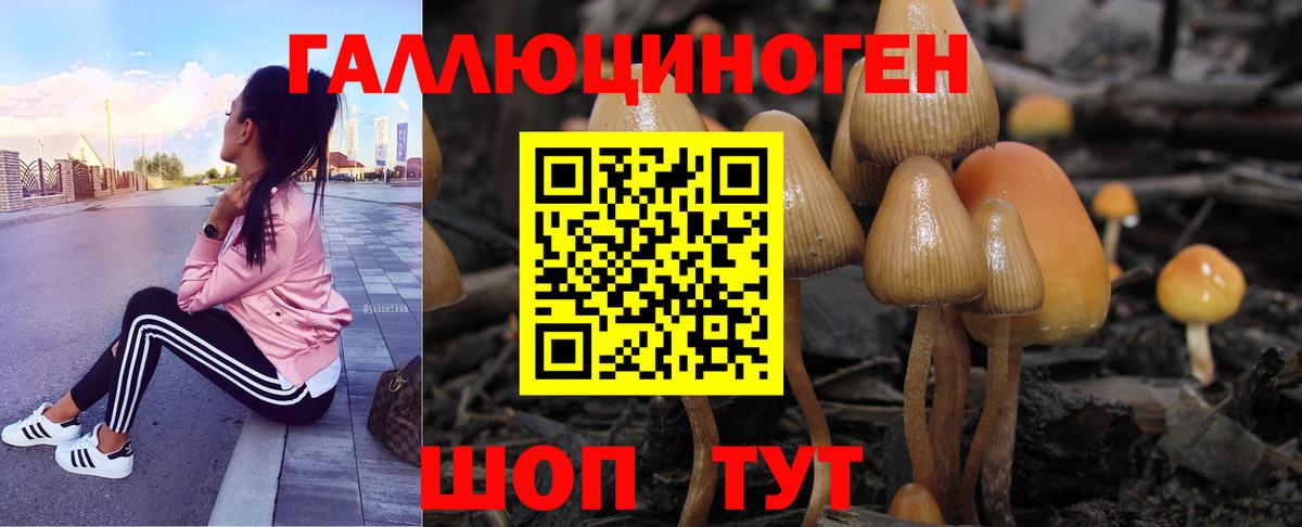 Галлюциногенные грибы GOLDEN TEACHER Верхняя Пышма